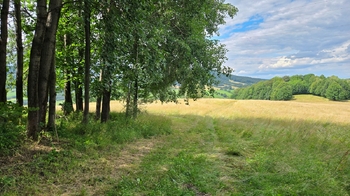 Prodej pozemku 26680 m², Písečná
