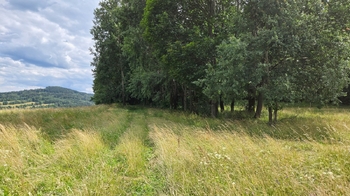 Prodej pozemku 26680 m², Písečná