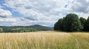 Prodej pozemku 26680 m², Písečná