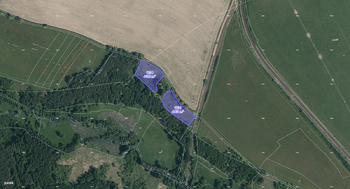 Prodej pozemku 13764 m², Planá
