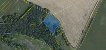 Prodej pozemku 13764 m², Planá
