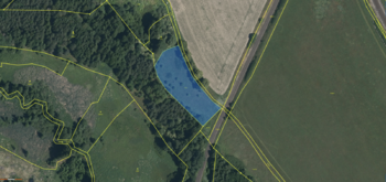 Prodej pozemku 13764 m², Planá