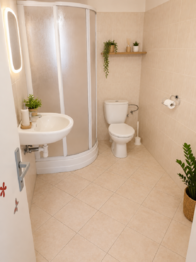Prodej domu 286 m², Dolní Moravice