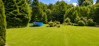 Prodej domu 286 m², Dolní Moravice