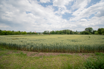 Prodej zemědělského objektu 1000 m², Budyně nad Ohří