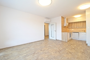 Pronájem bytu 2+kk v osobním vlastnictví 58 m², Plzeň