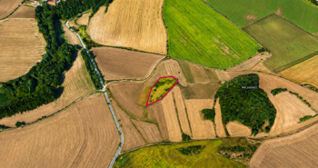Pozemek ve Velkých Číčovicích  - Prodej pozemku 5606 m², Číčovice 