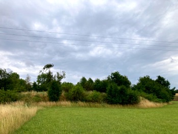 Pohled z cyklostezky - Prodej pozemku 5606 m², Číčovice