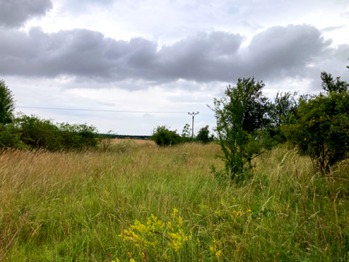 Prodej pozemku 5606 m², Číčovice