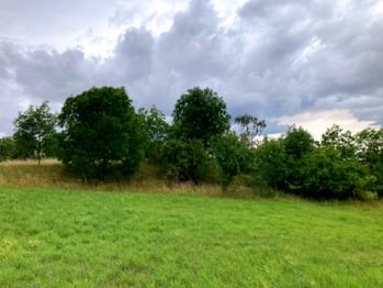 Pohled ze sousedního pozemku - Prodej pozemku 5606 m², Číčovice