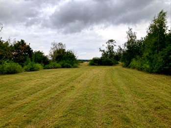 Prodej pozemku 5606 m², Číčovice
