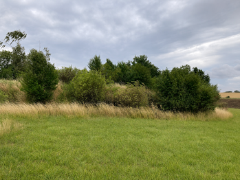 Prodej pozemku 5606 m², Číčovice