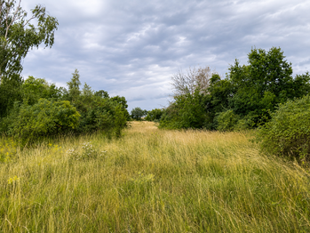 Prodej pozemku 5606 m², Číčovice