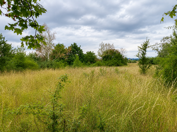 Prodej pozemku 5606 m², Číčovice