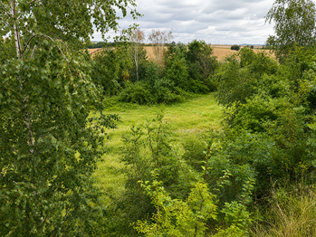 Prodej pozemku 5606 m², Číčovice
