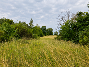 Prodej pozemku 5606 m², Číčovice