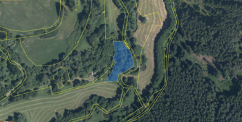 Prodej pozemku 290475 m², Planá