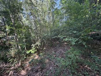 Prodej pozemku 439 m², Klopina