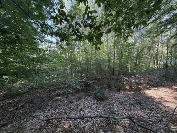 Prodej pozemku 439 m², Klopina