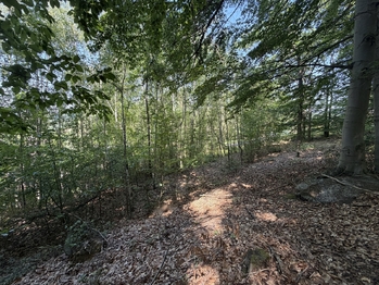 Prodej pozemku 439 m², Klopina