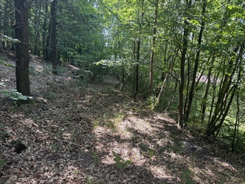 Prodej pozemku 439 m², Klopina