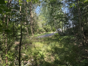 Prodej pozemku 439 m², Klopina