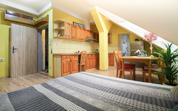 Pronájem bytu 1+kk v osobním vlastnictví 27 m², Čelákovice