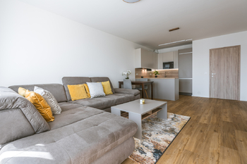 OBÝVACÍ POKOJ - Pronájem bytu 2+kk v osobním vlastnictví 65 m², Brandýs nad Labem-Stará Boleslav