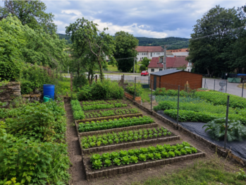 Vizualizace osázení - Prodej pozemku 358 m², Mičovice 