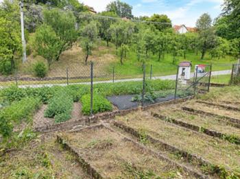 Prodej pozemku 358 m², Mičovice