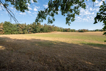 Prodej pozemku 11767 m², Benešov
