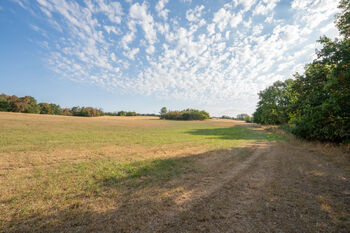 Prodej pozemku 11767 m², Benešov