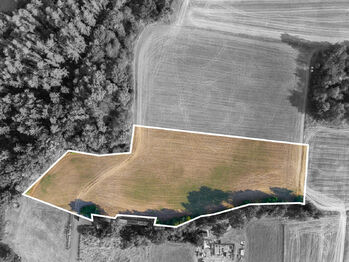 Prodej pozemku 11767 m², Benešov