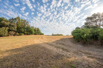 Prodej pozemku 11767 m², Benešov