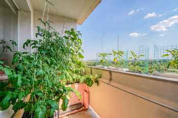 Prodej bytu 4+1 v osobním vlastnictví 76 m², Chomutov