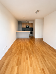 obývací pokoj s kuchyň.koutem - Pronájem bytu 3+kk v osobním vlastnictví 70 m², Praha 3 - Žižkov