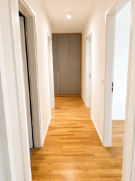 chodba - Pronájem bytu 3+kk v osobním vlastnictví 70 m², Praha 3 - Žižkov