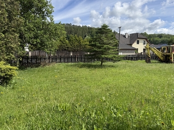 Prodej domu 300 m², Radnice