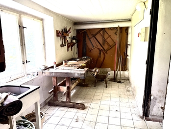 Prodej domu 300 m², Radnice