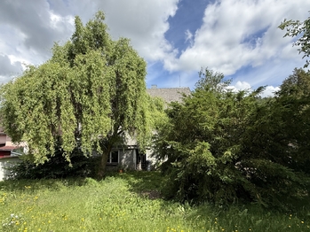 Prodej domu 300 m², Radnice