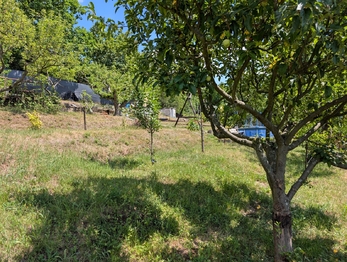 Prodej chaty / chalupy 27 m², Ústí nad Labem