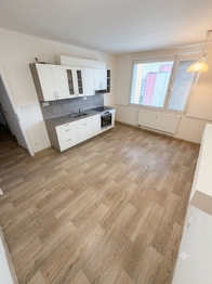 Prodej bytu 3+kk v osobním vlastnictví 55 m², Roudnice nad Labem