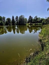 Prodej pozemku 8425 m², Obruby