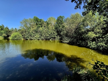 Prodej pozemku 8425 m², Obruby