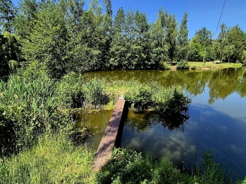 Prodej pozemku 8425 m², Obruby
