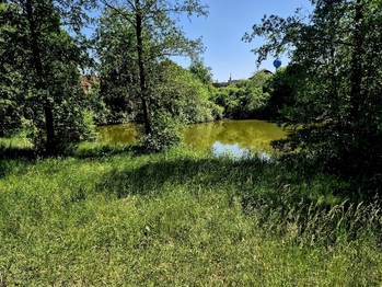 Prodej pozemku 8425 m², Obruby
