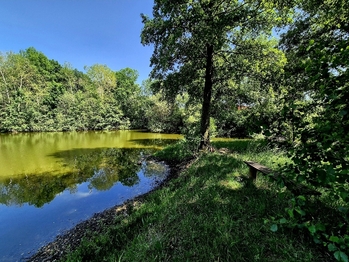 Prodej pozemku 8425 m², Obruby