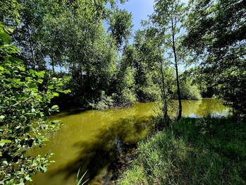 Prodej pozemku 8425 m², Obruby