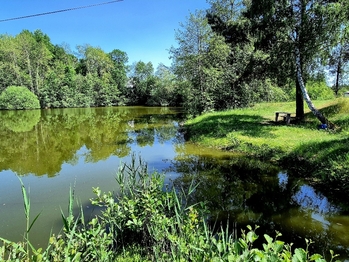 Prodej pozemku 8425 m², Obruby