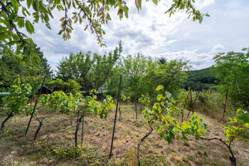 Prodej pozemku 858 m², Popůvky